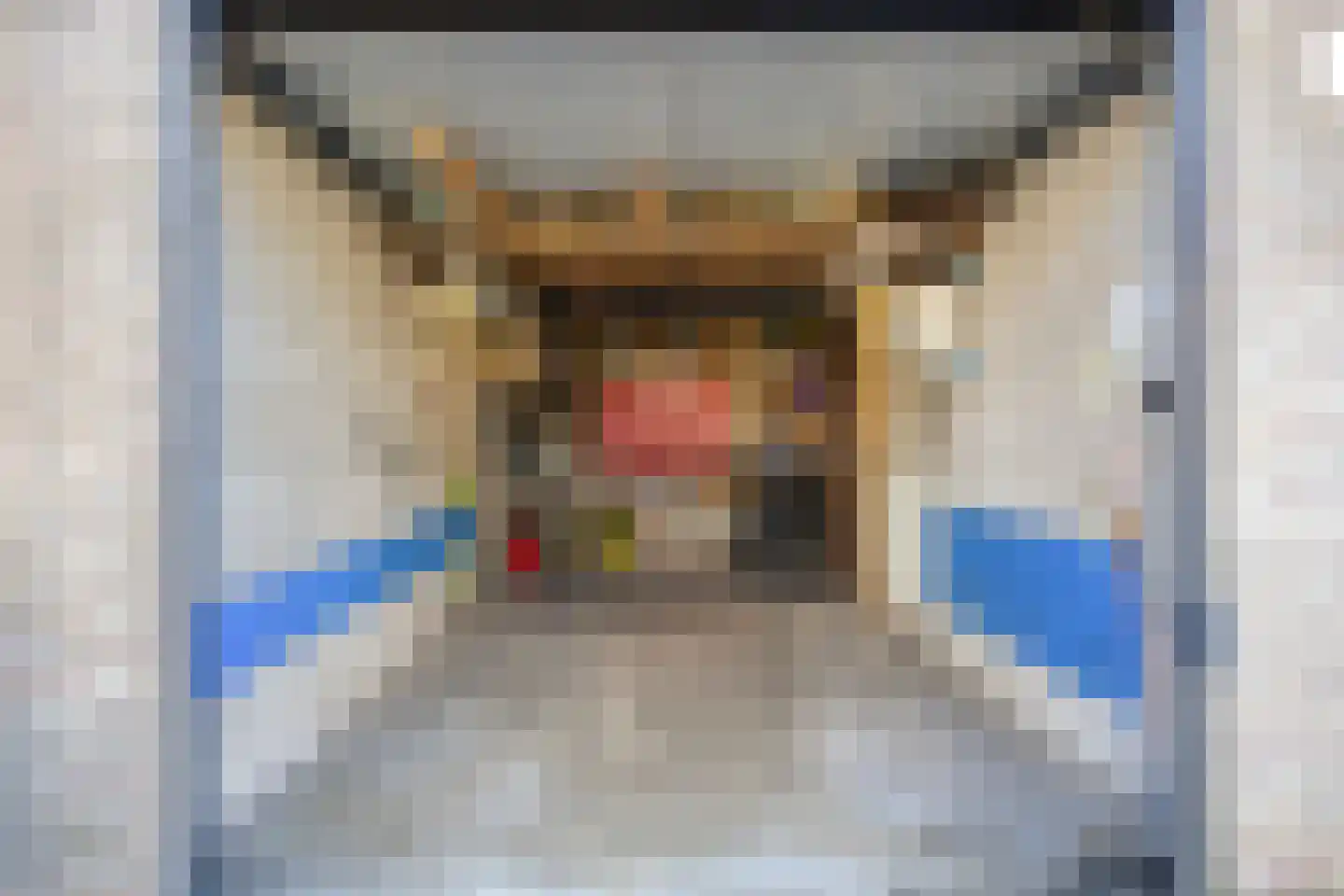 Leliestraat 64 Beek en Donk thumbnail 28