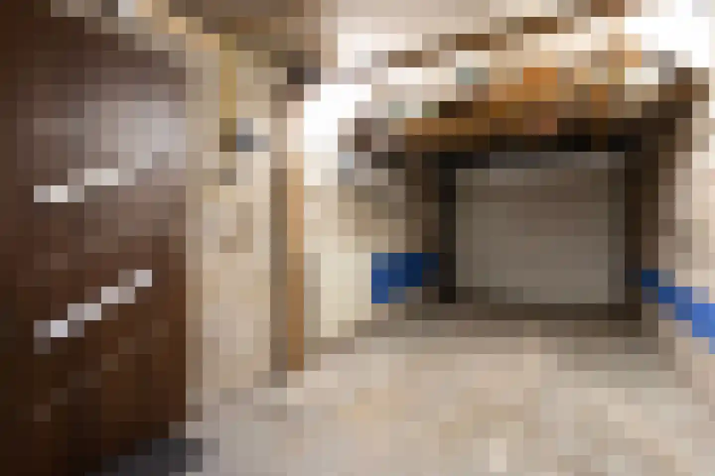 Leliestraat 64 Beek en Donk thumbnail 30