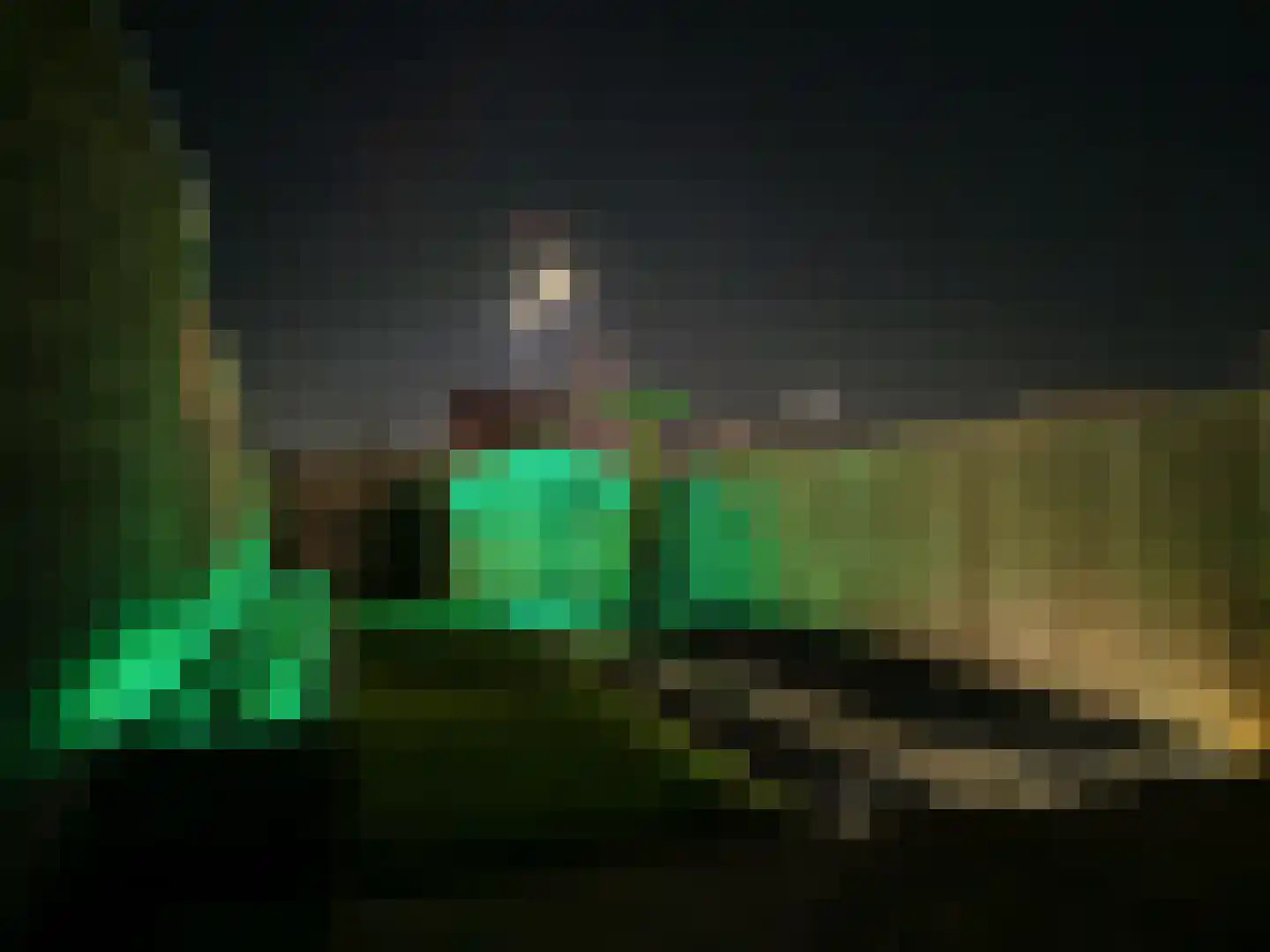 Leliestraat 64 Beek en Donk thumbnail 35