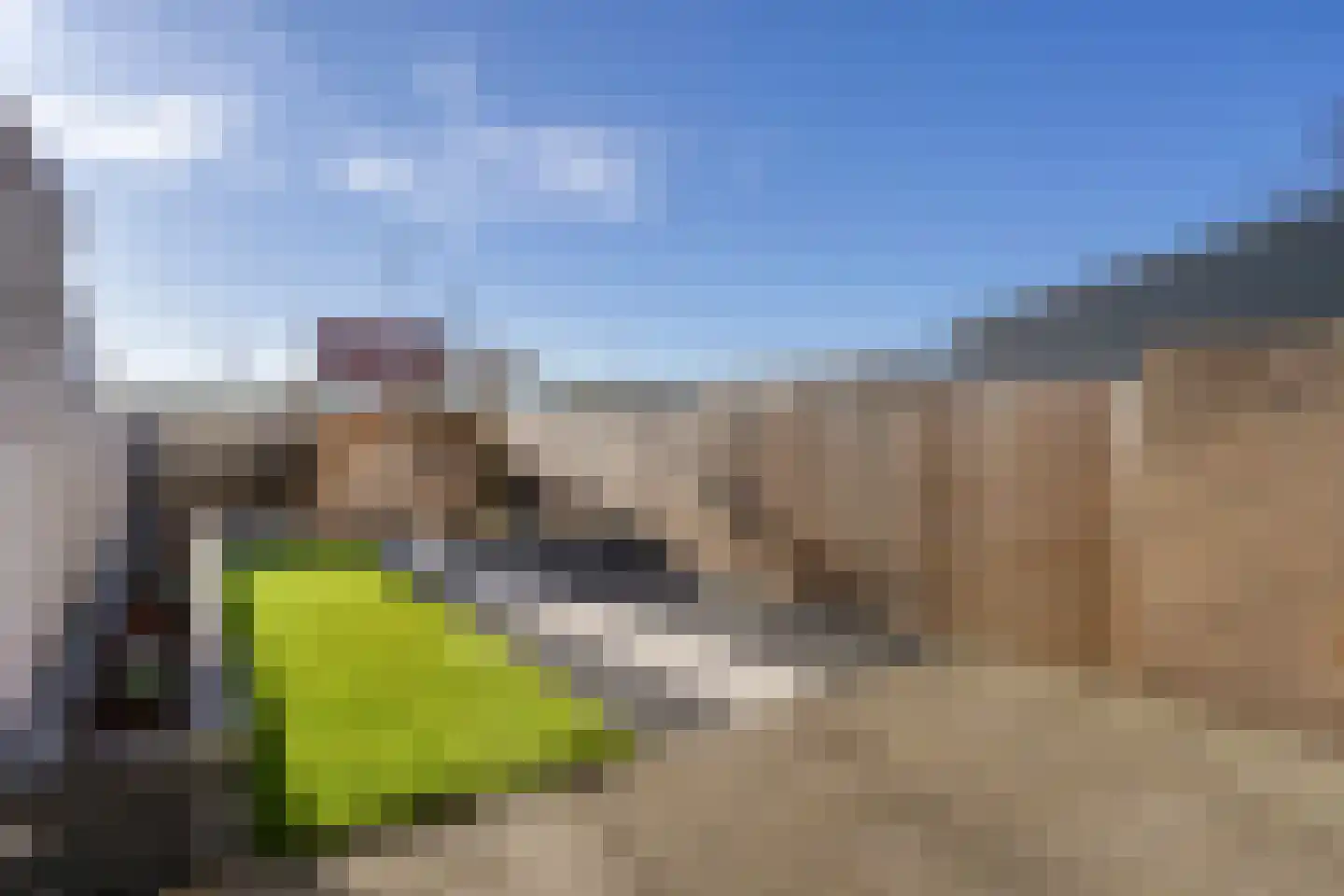 Leliestraat 64 Beek en Donk thumbnail 4