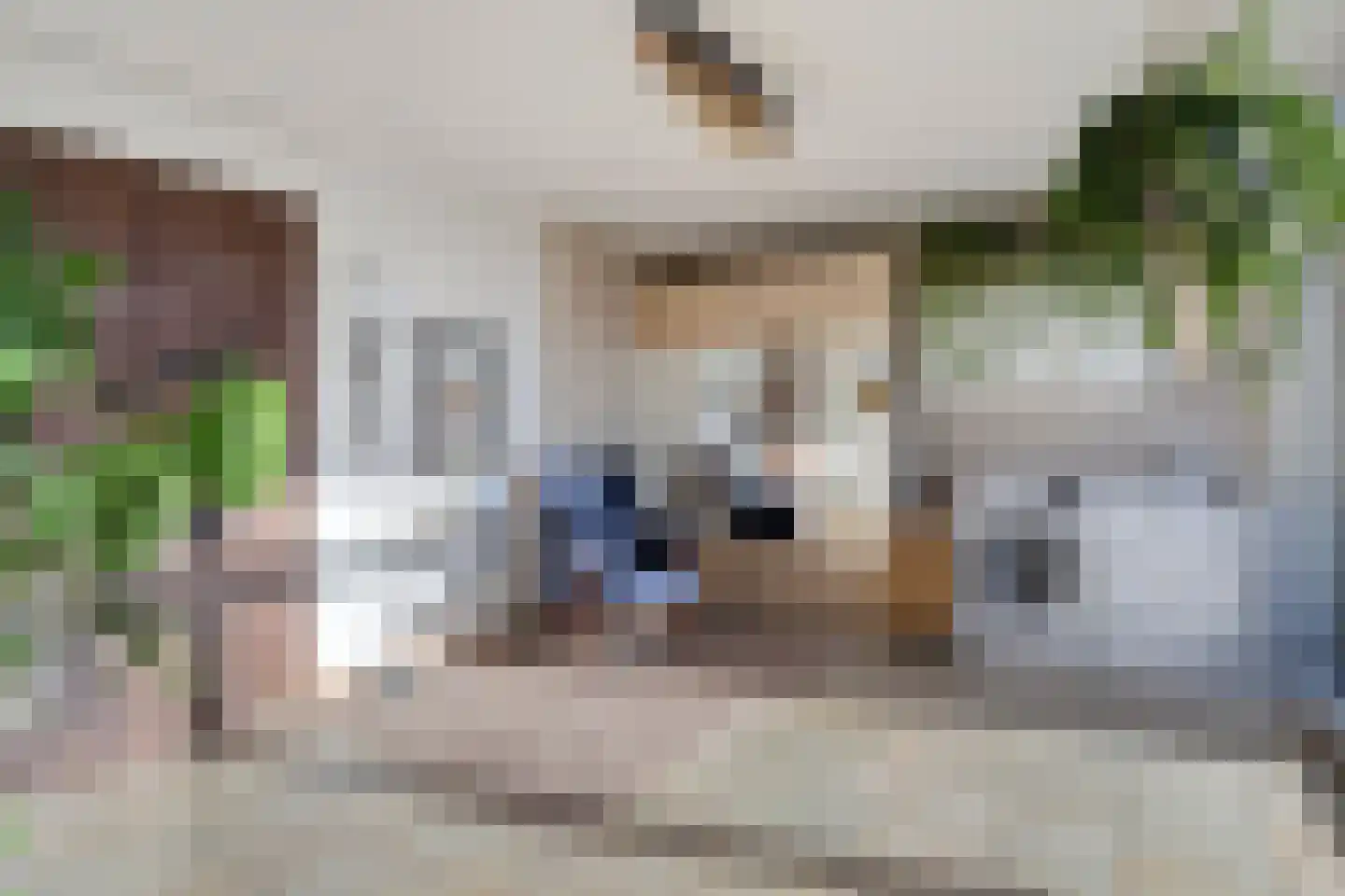 Leliestraat 64 Beek en Donk thumbnail 7