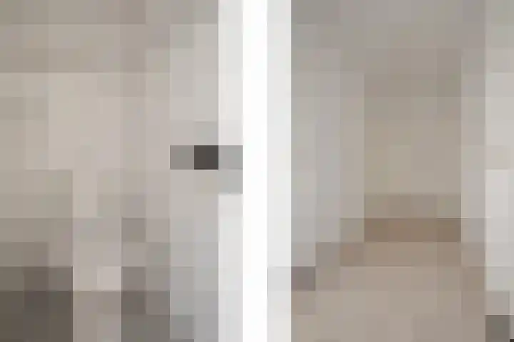 Leliestraat 65 Echt thumbnail 11