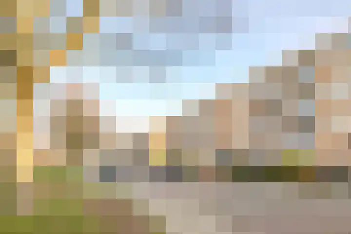 Leliestraat 65 Echt thumbnail 16