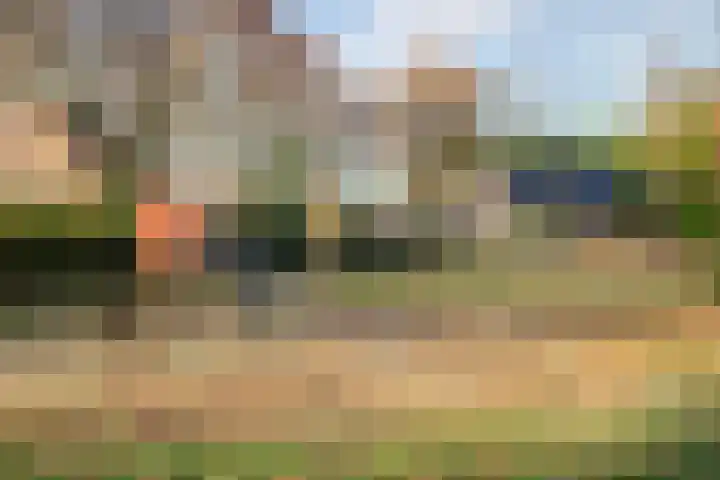 Leliestraat 65 Echt thumbnail 17