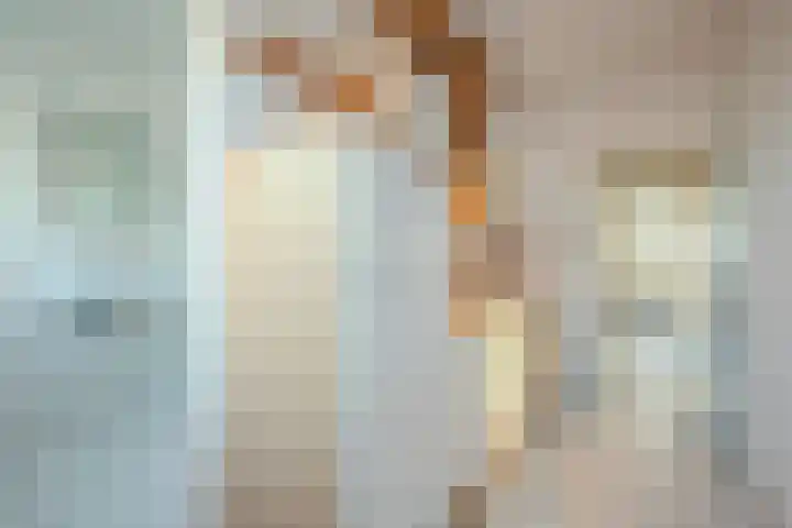 Leliestraat 65 Echt thumbnail 6