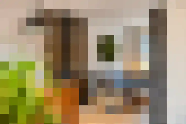 Leliestraat 7 Dongen thumbnail 11