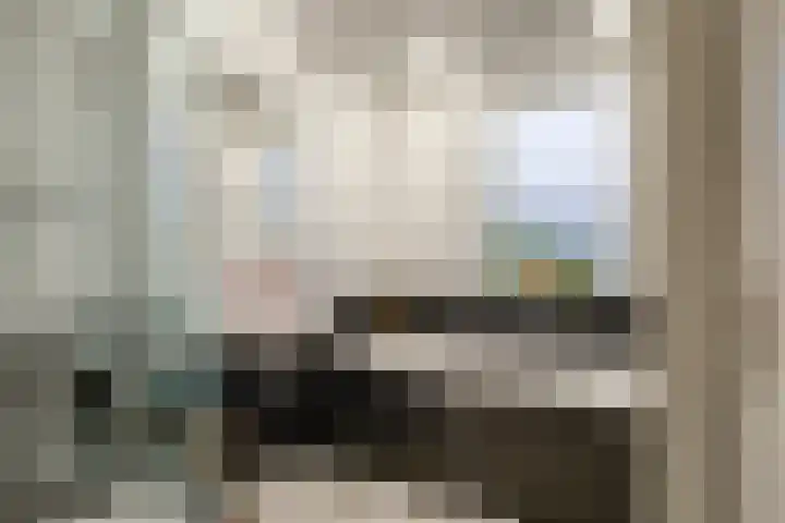 Leliestraat 7 Dongen thumbnail 19