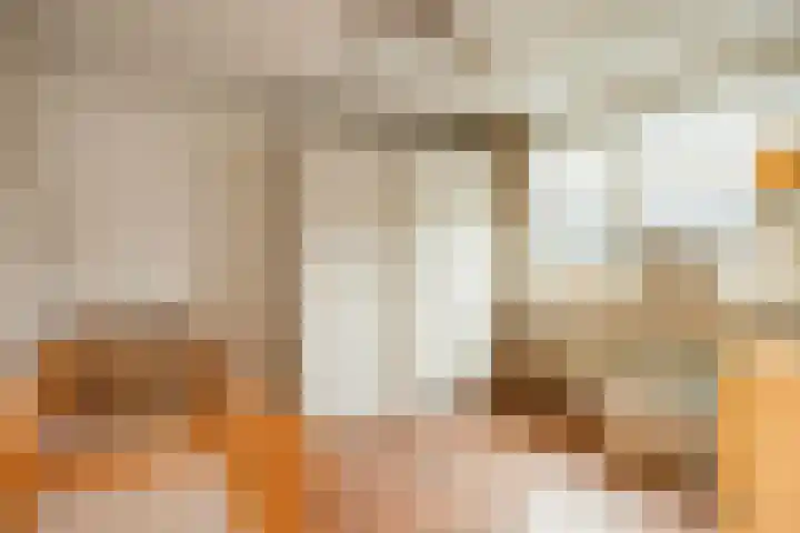 Leliestraat 7 Dongen thumbnail 21