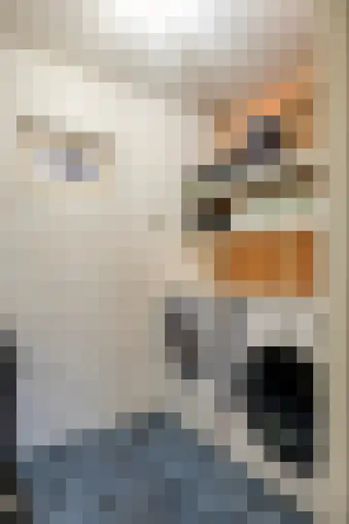 Leliestraat 7 Dongen thumbnail 23