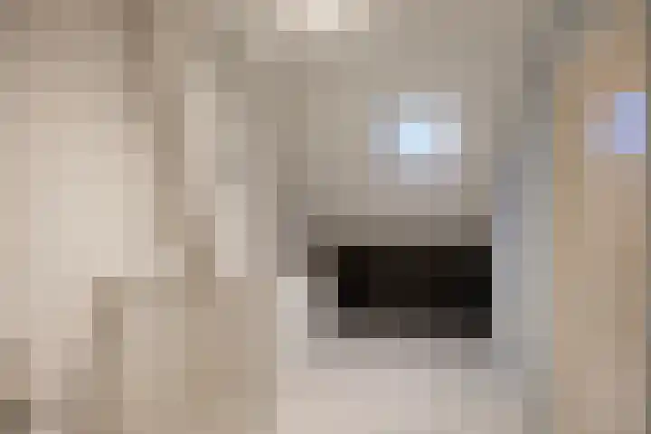 Leliestraat 7 Dongen thumbnail 24
