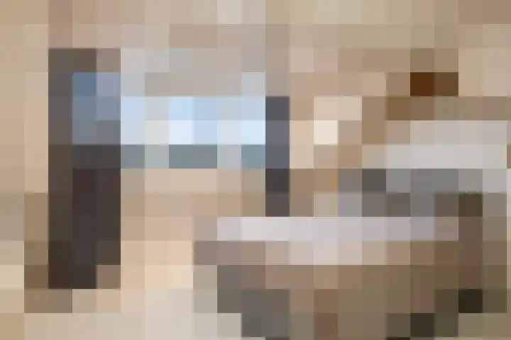 Leliestraat 7 Dongen thumbnail 25