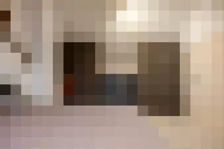 Leliestraat 7 Dongen thumbnail 26