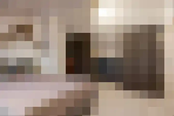 Leliestraat 7 Dongen thumbnail 27