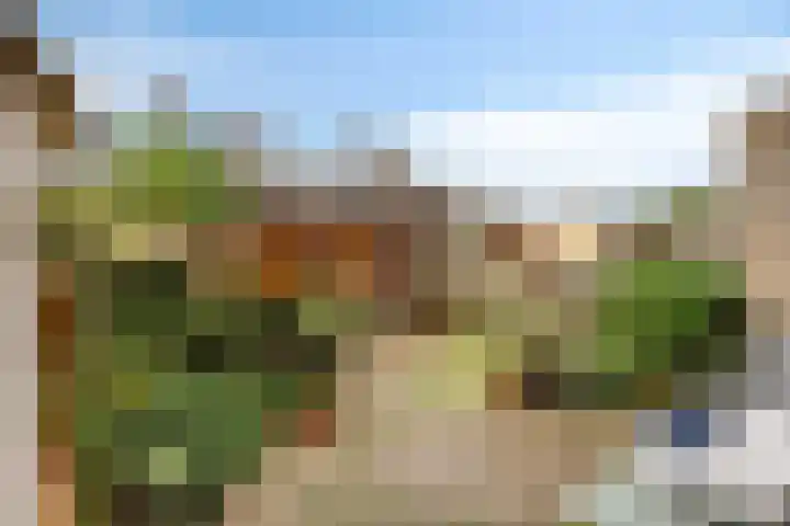 Leliestraat 7 Dongen thumbnail 28