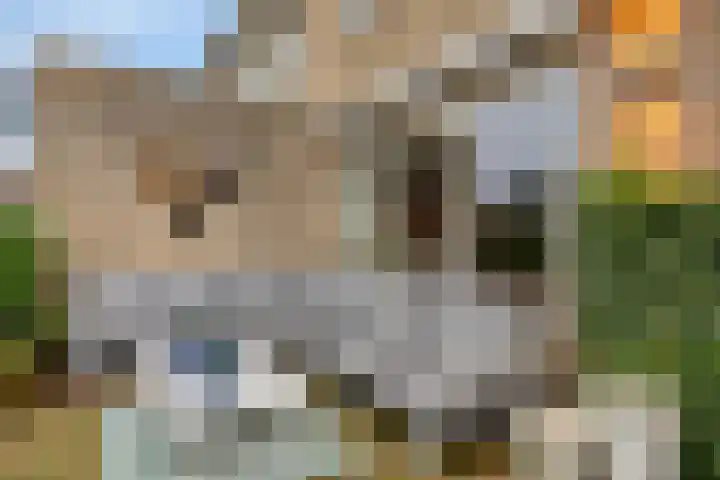 Leliestraat 7 Dongen thumbnail 32