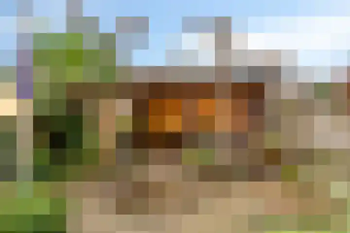 Leliestraat 7 Dongen thumbnail 6