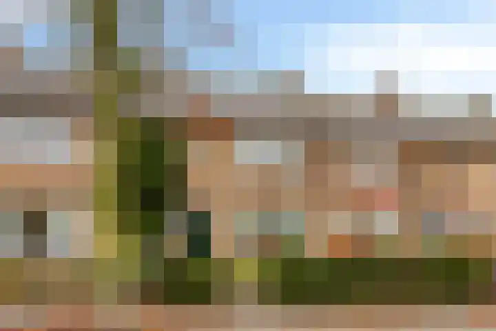 Leliestraat 7 Dongen thumbnail 7