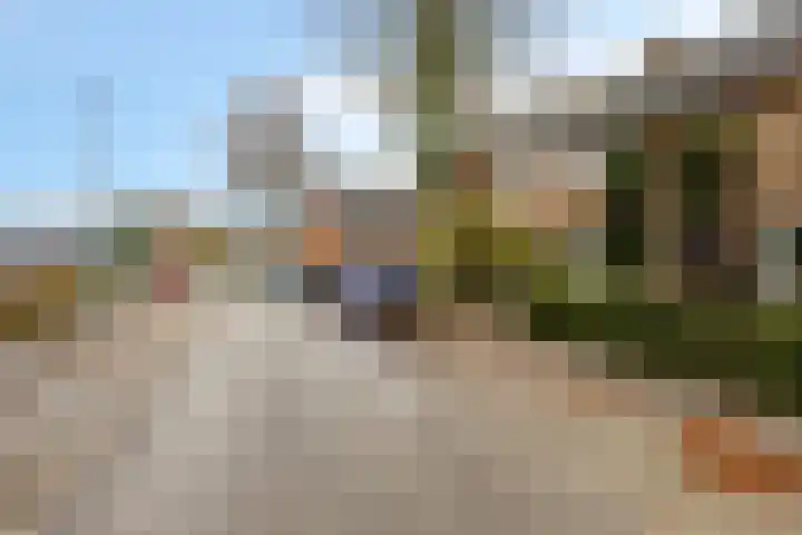 Leliestraat 7 Dongen thumbnail 8