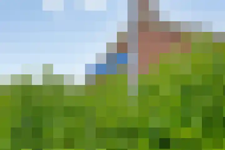 Leliestraat 7 Giesbeek thumbnail 32