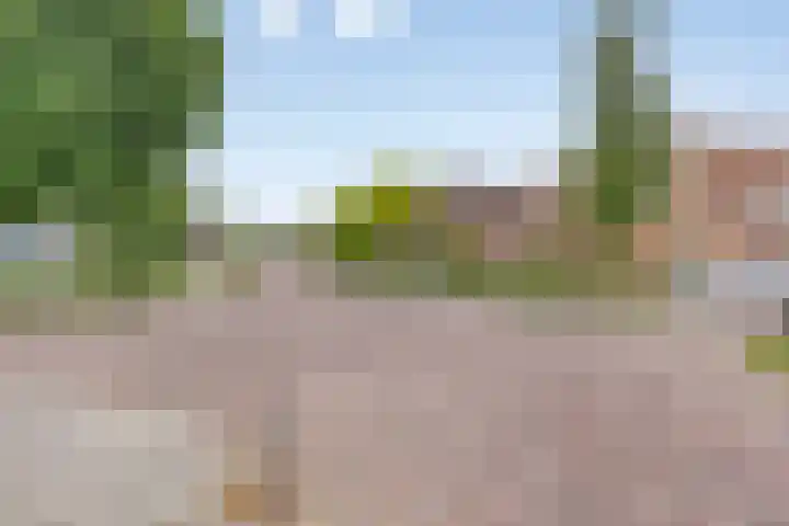 Leliestraat 7 Giesbeek thumbnail 33