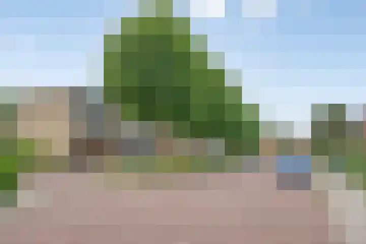 Leliestraat 7 Giesbeek thumbnail 34