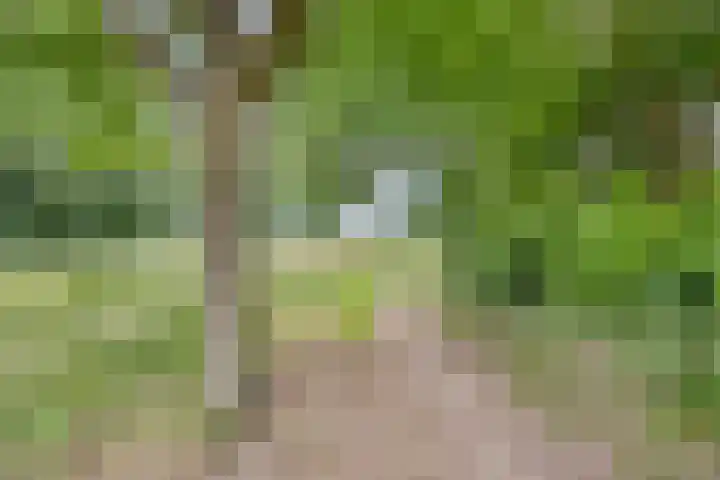 Leliestraat 7 Giesbeek thumbnail 35