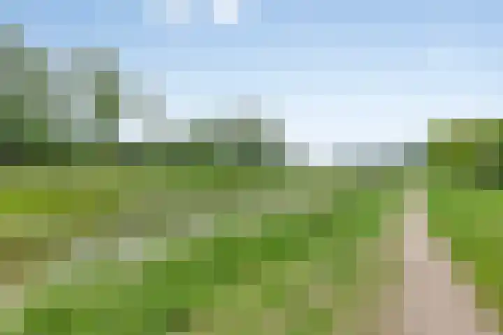 Leliestraat 7 Giesbeek thumbnail 36