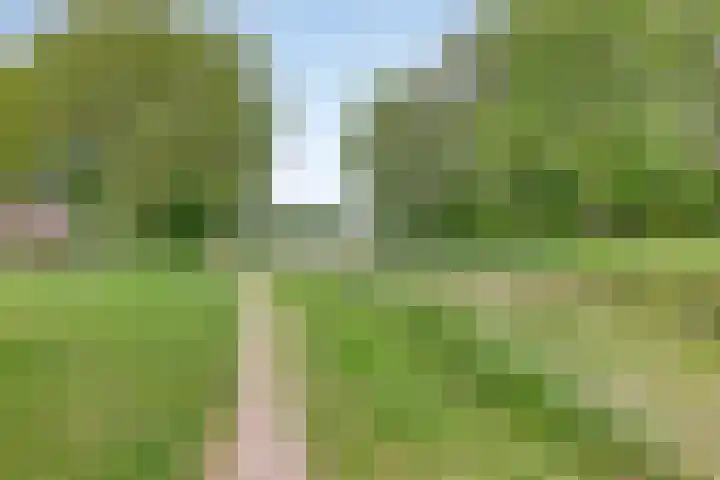 Leliestraat 7 Giesbeek thumbnail 37