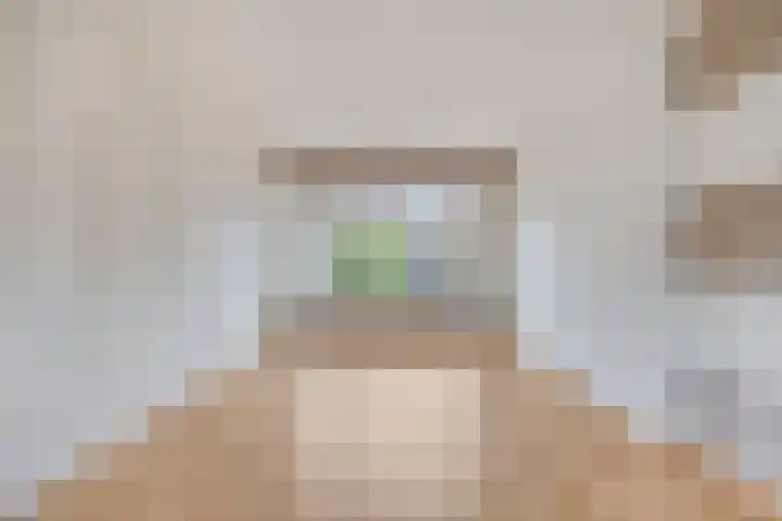 Leliestraat 7 Giesbeek thumbnail 9