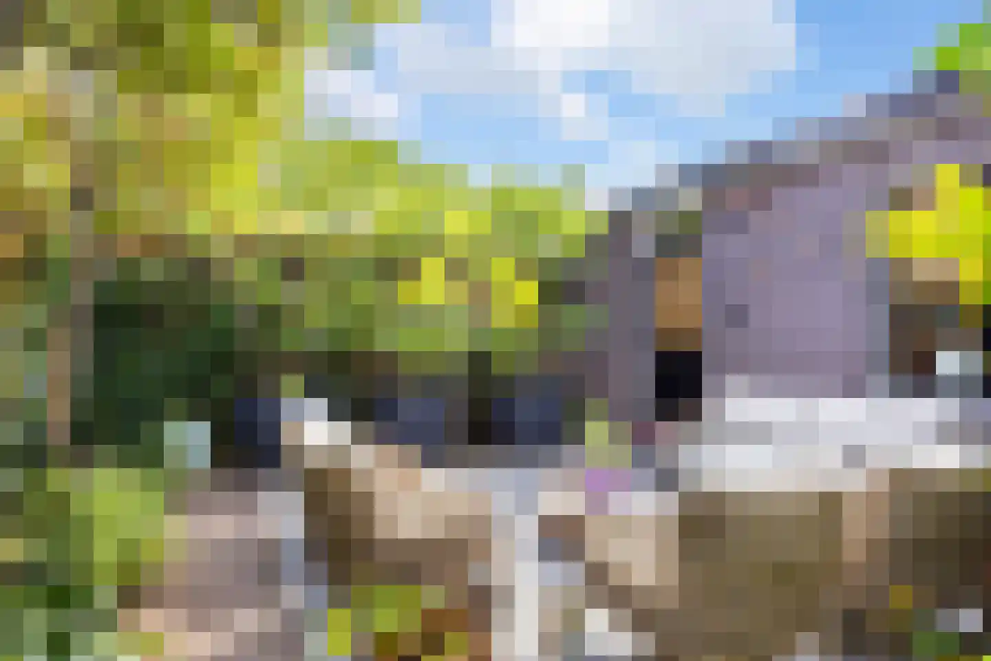 Leliestraat 7 Hengelo thumbnail 36