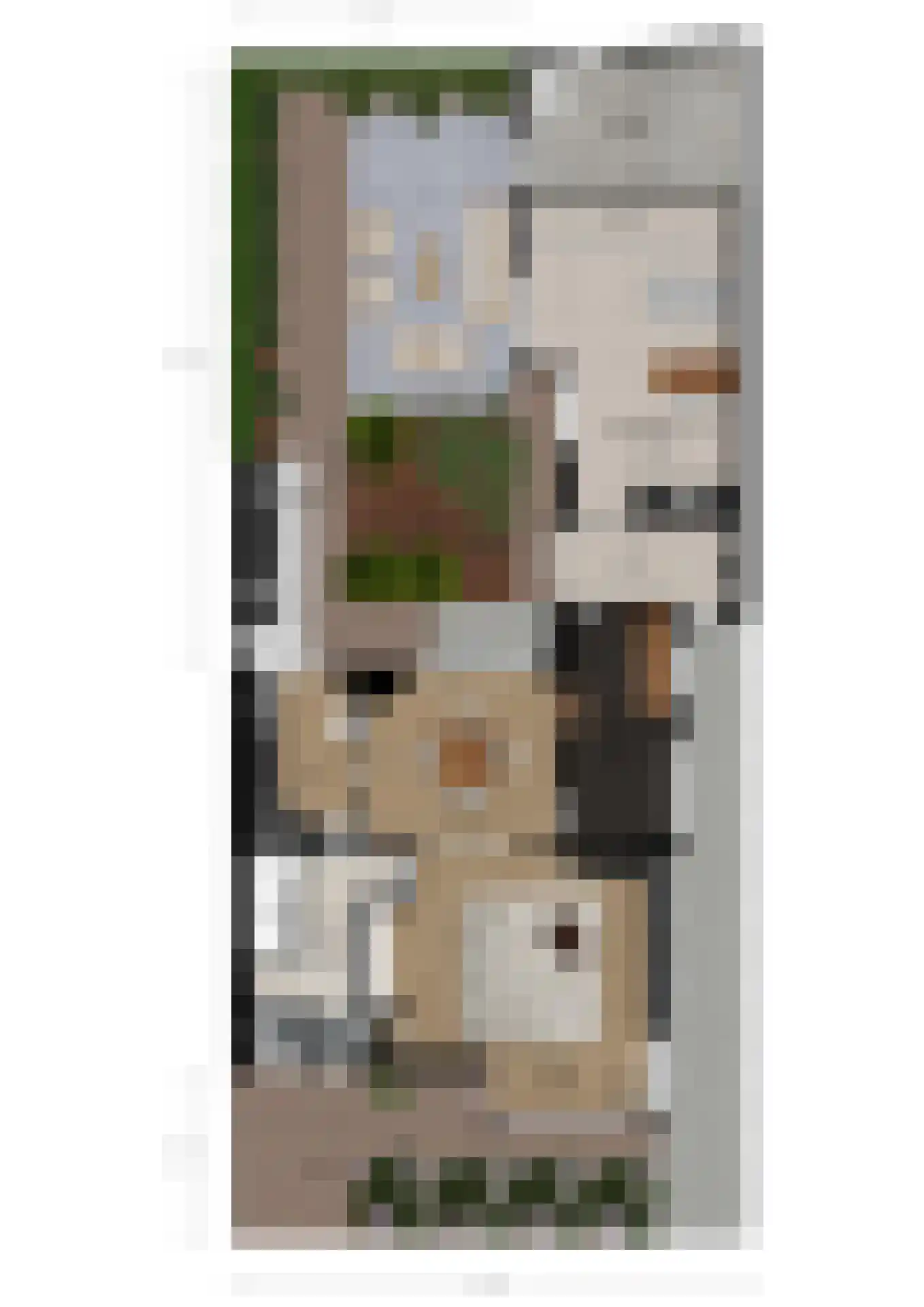 Leliestraat 7 Hengelo thumbnail 47