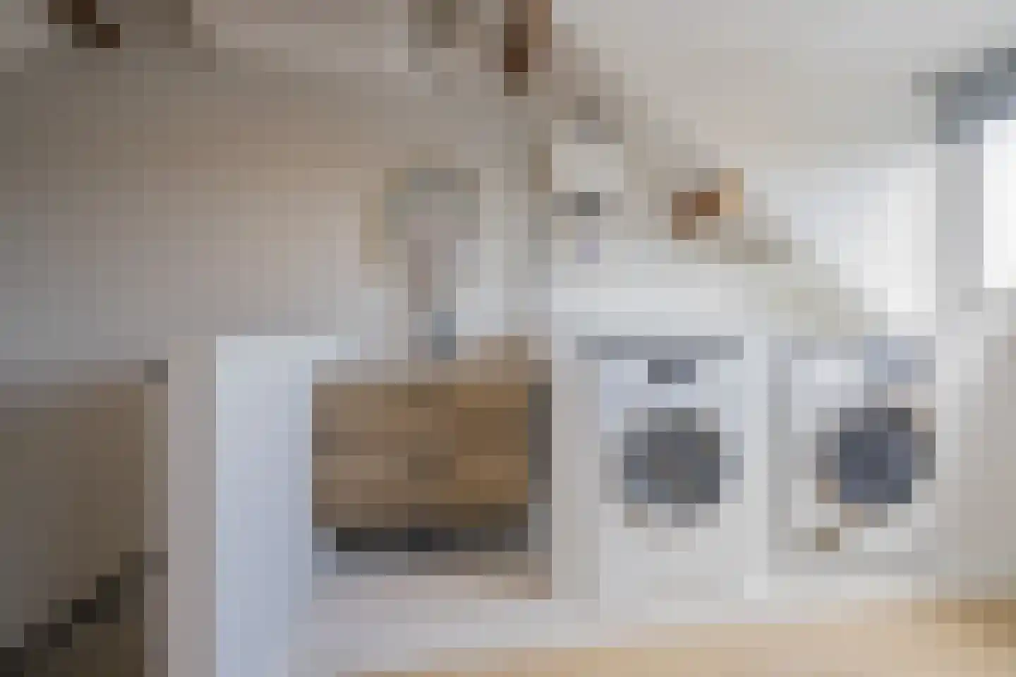 Leliestraat 7 Lisse thumbnail 47