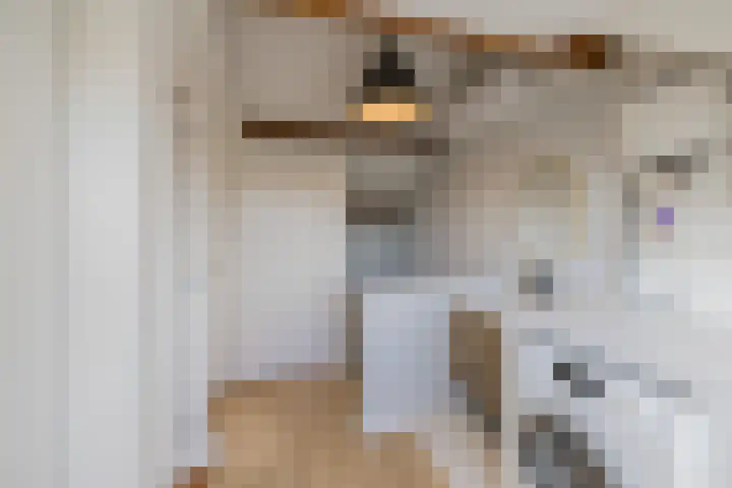 Leliestraat 7 Lisse thumbnail 48