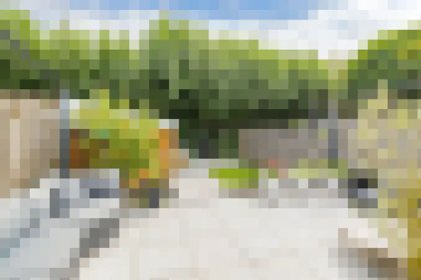 Leliestraat 7 Lisse thumbnail 6
