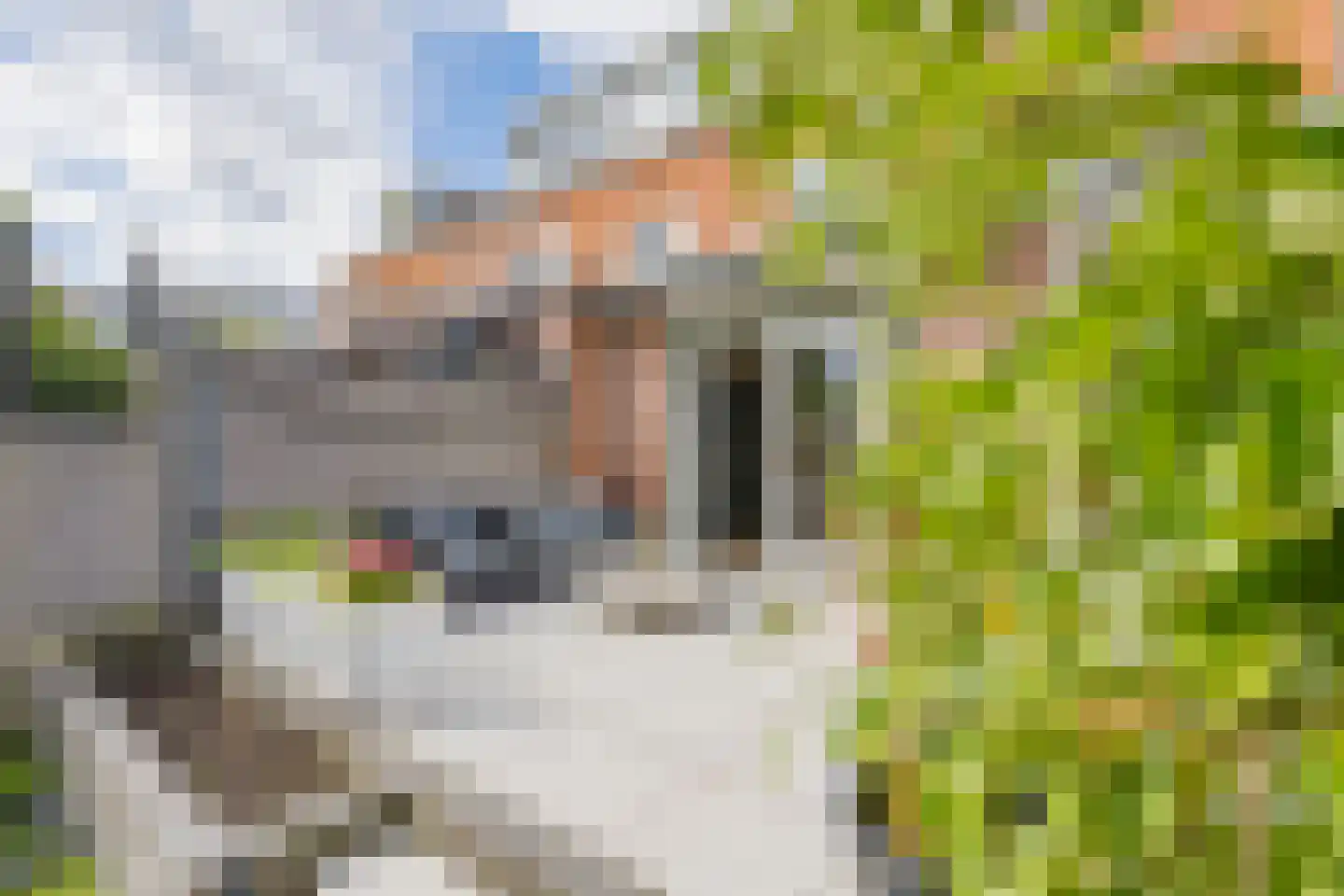 Leliestraat 7 Lisse thumbnail 60
