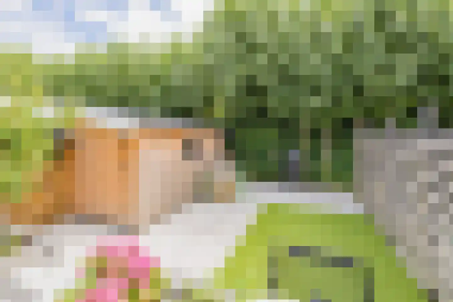 Leliestraat 7 Lisse thumbnail 61