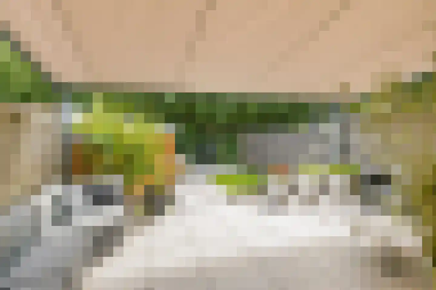 Leliestraat 7 Lisse thumbnail 64