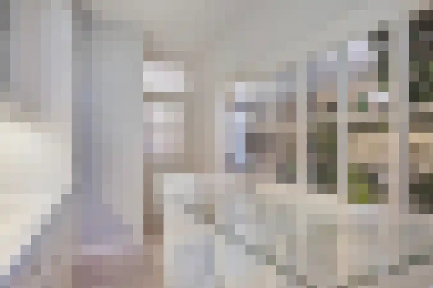 Leliestraat 71 Beek en Donk thumbnail 10