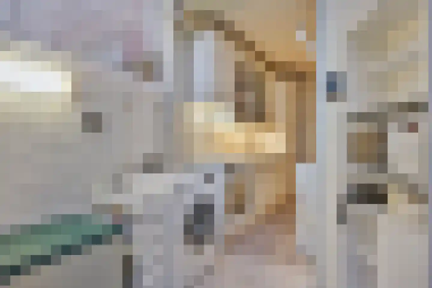 Leliestraat 71 Beek en Donk thumbnail 12