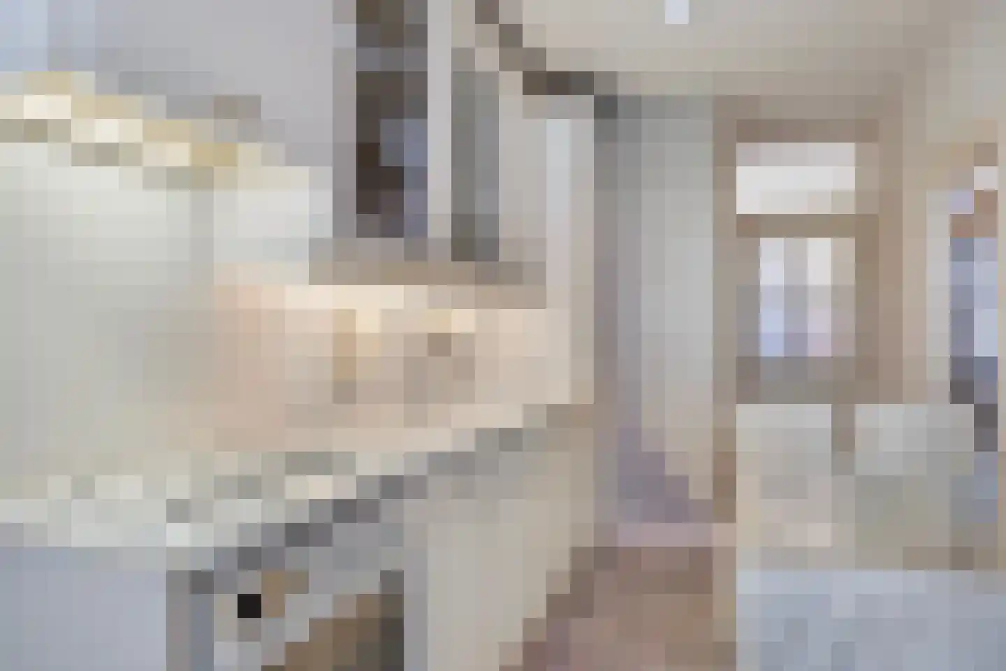 Leliestraat 71 Beek en Donk thumbnail 9
