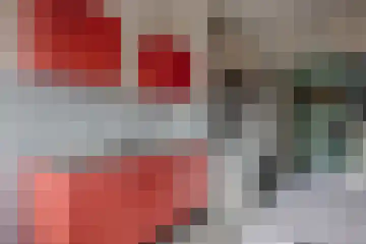 Leliestraat 72 Echt thumbnail 11