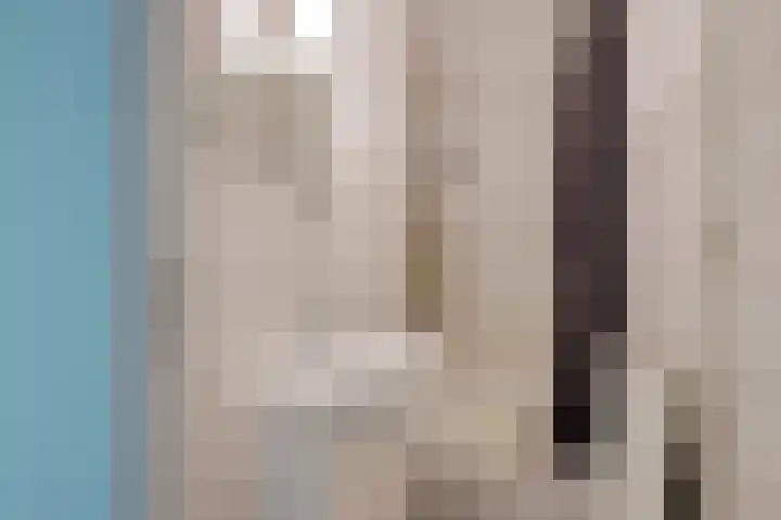 Leliestraat 72 Echt thumbnail 14