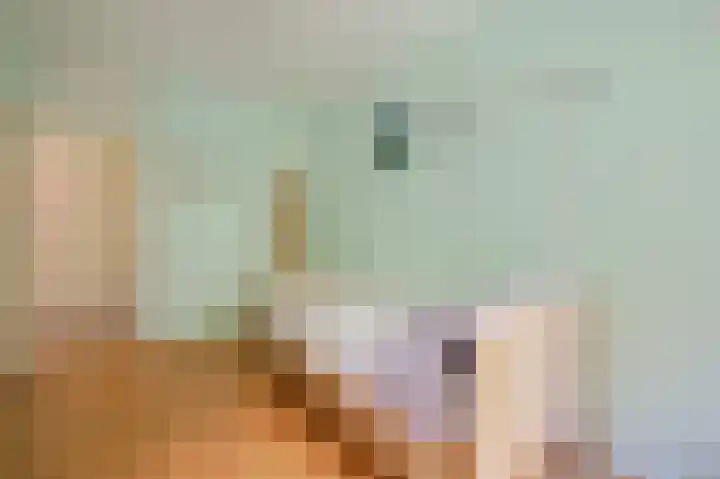 Leliestraat 72 Echt thumbnail 16