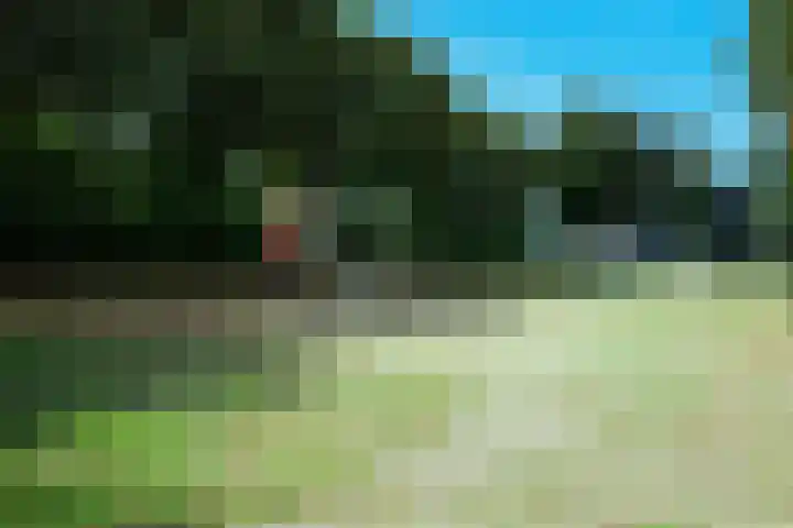 Leliestraat 72 Echt thumbnail 22