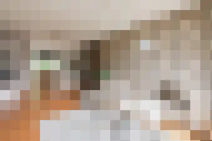 Leliestraat 72 Echt thumbnail 4
