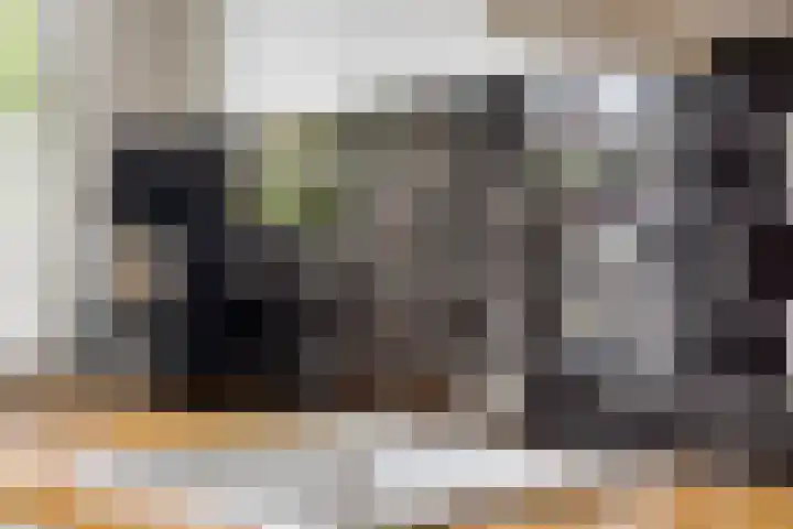 Leliestraat 75 Goes thumbnail 19
