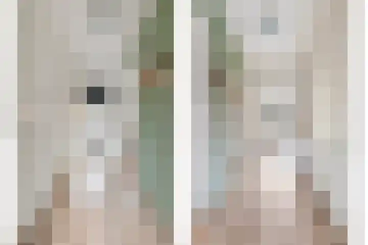 Leliestraat 75 Goes thumbnail 20