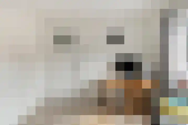 Leliestraat 75 Goes thumbnail 22