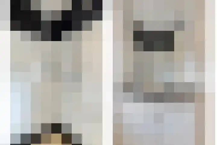 Leliestraat 75 Goes thumbnail 26