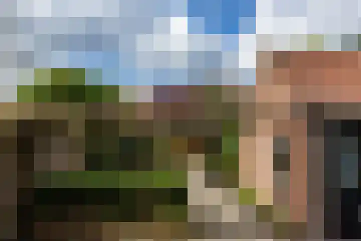 Leliestraat 75 Goes thumbnail 32